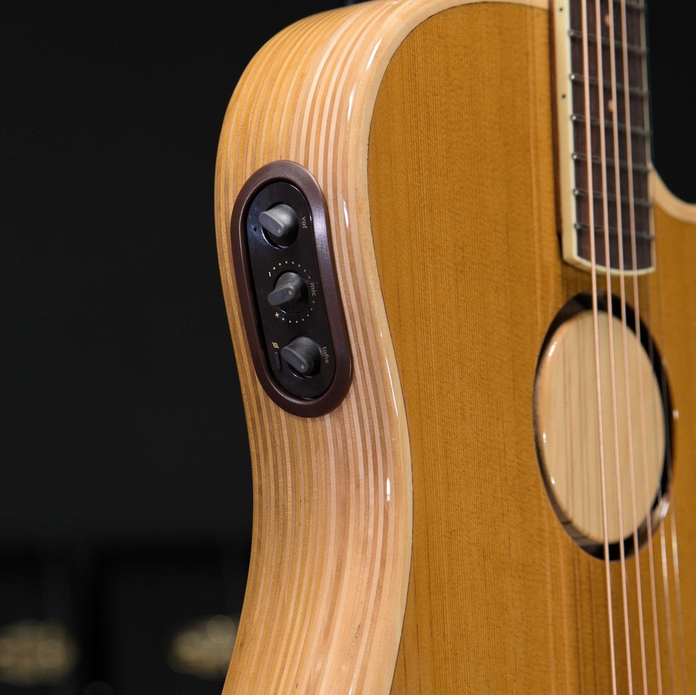 LR Baggs AEG-1 Torrefied Top