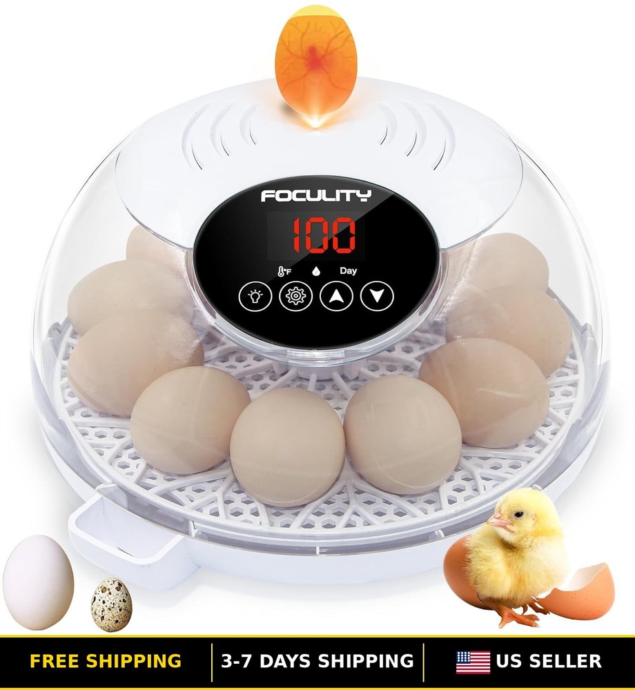 12-Egg Automatic Temperature-Controlled Hatching Incubator for Chicks