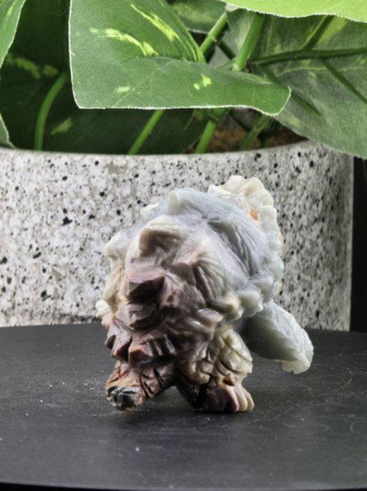 NATURAL AMAZONITE CARVED SNAPPING TURTLE TORTOISE