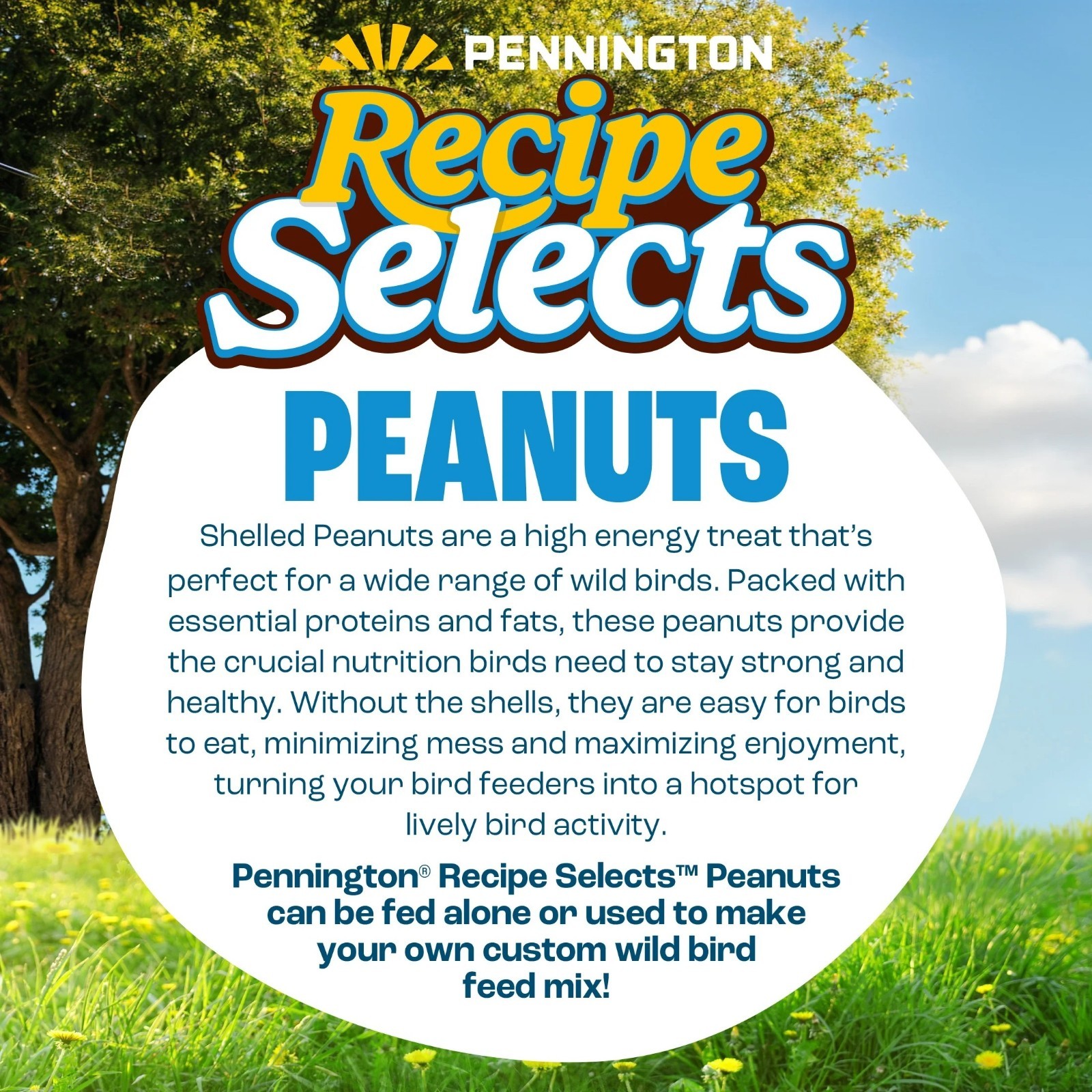 Pennington Shelled Peanuts Wildlife and Wild Bird Food, 5 lb. Bag, 1 Pack, Dry