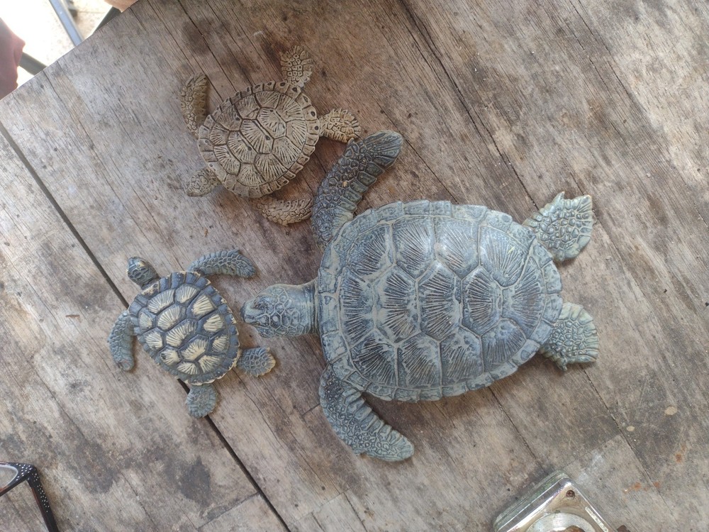 rubber turtles decor