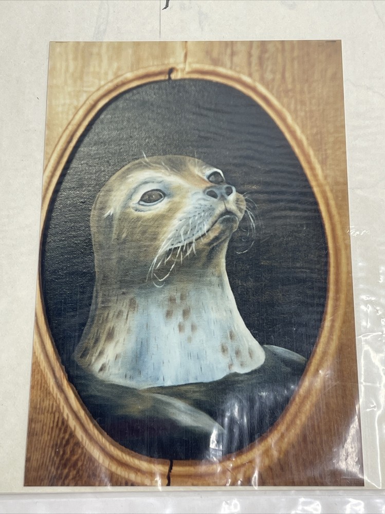 Creative Dreams By Sherry Harbor Seal Decorative Painting Pattern