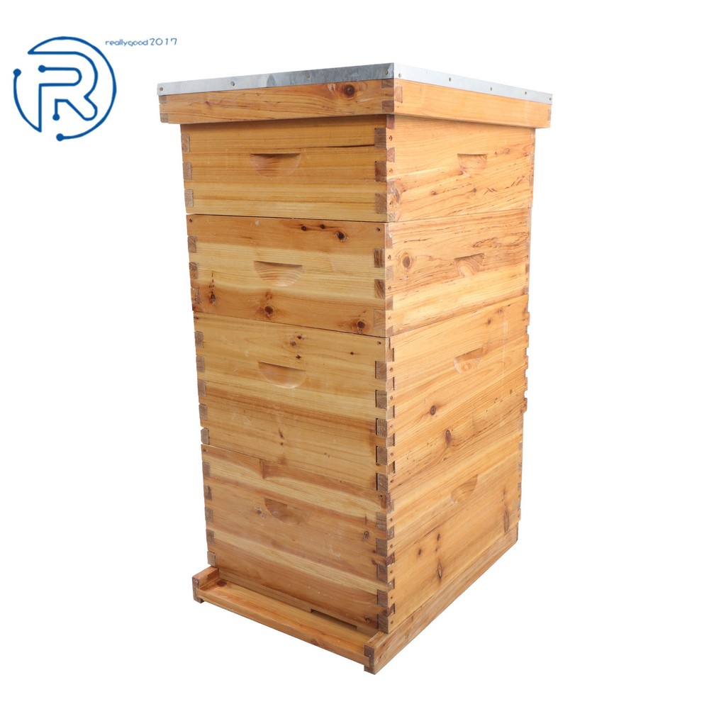 Beeswax Coated 4 Layer 10 Frame Bee Hive Includes Beehive Frames and Foundations
