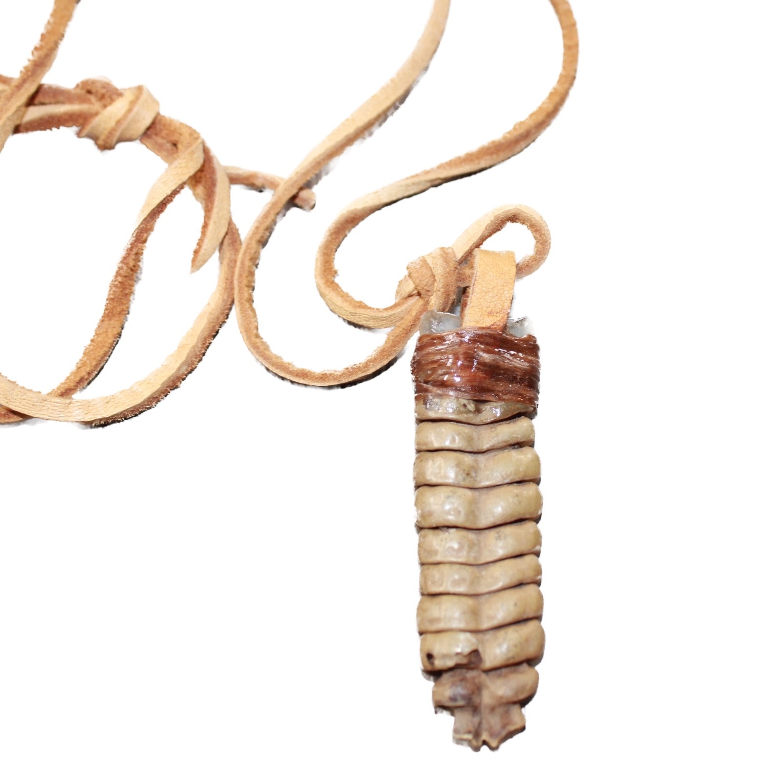 Extra Large Rattlesnake Rattle Necklace #4063 Mountain Man Necklace