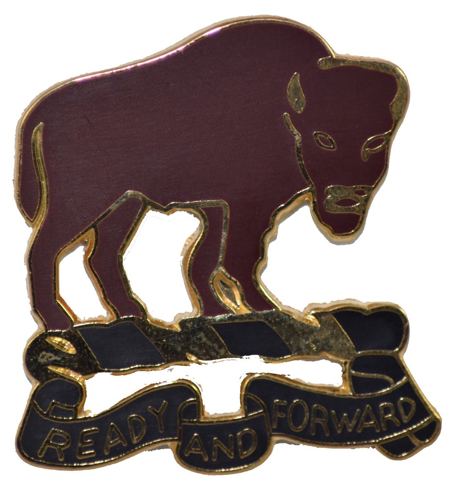 10TH CAV RGT HAT PIN