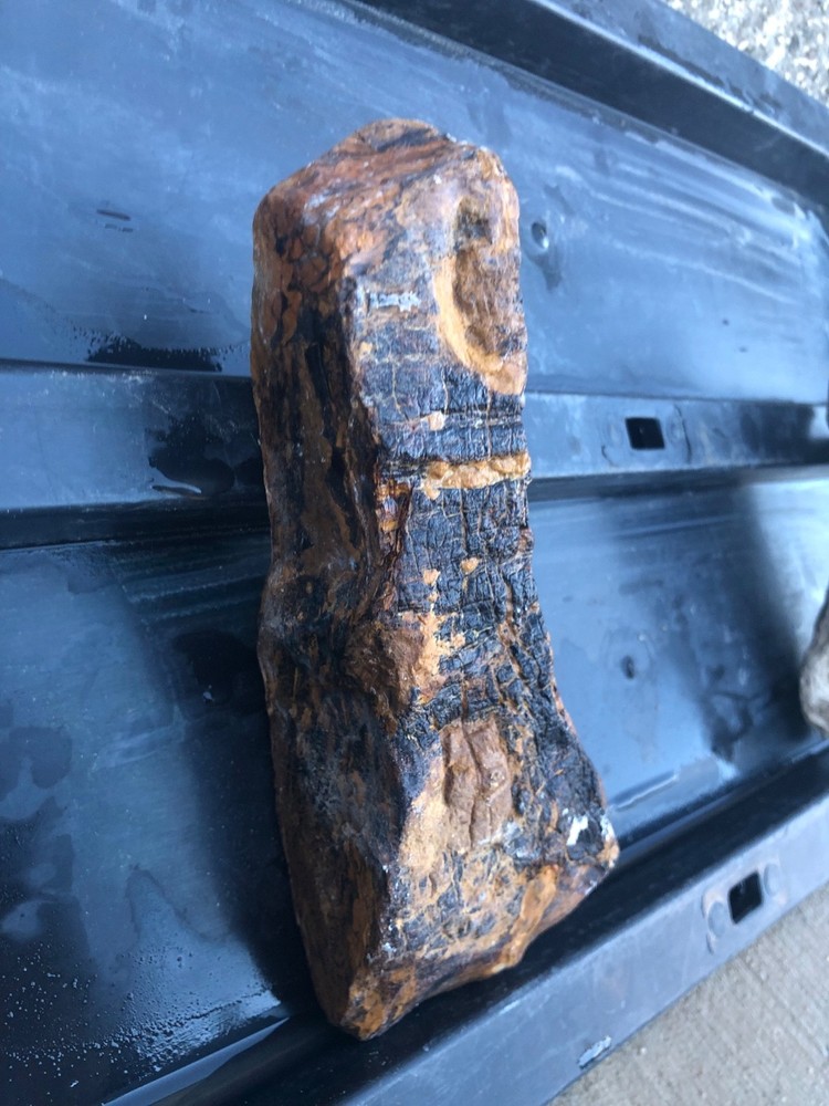 PETRIFIED LOG beautiful Raw Piece.