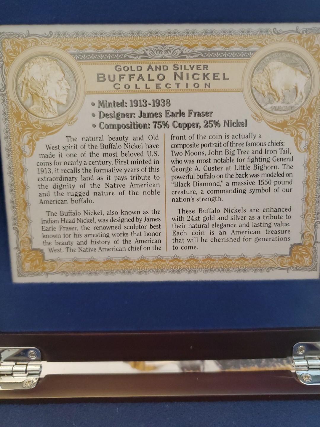 Dan banbury gold and silver Buffalo nickel collection