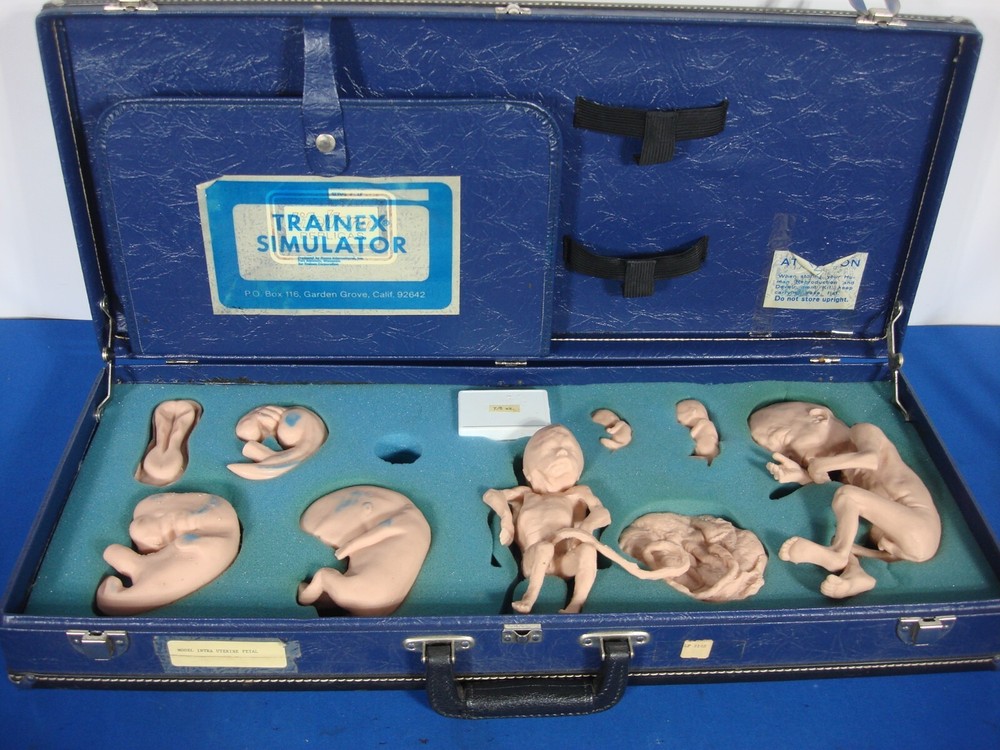 Vintage Trainex Fetal Development Trainer