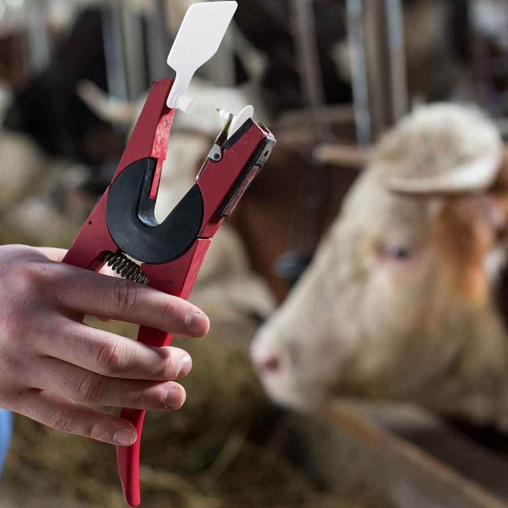100 Blank Livestock Ear Tags for Cattle Identification - Durable Versatile