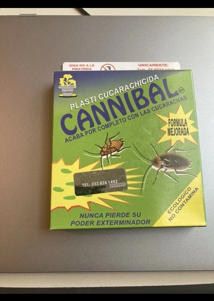 Pesky roaches 🪳 Cucarachas 👋 bye