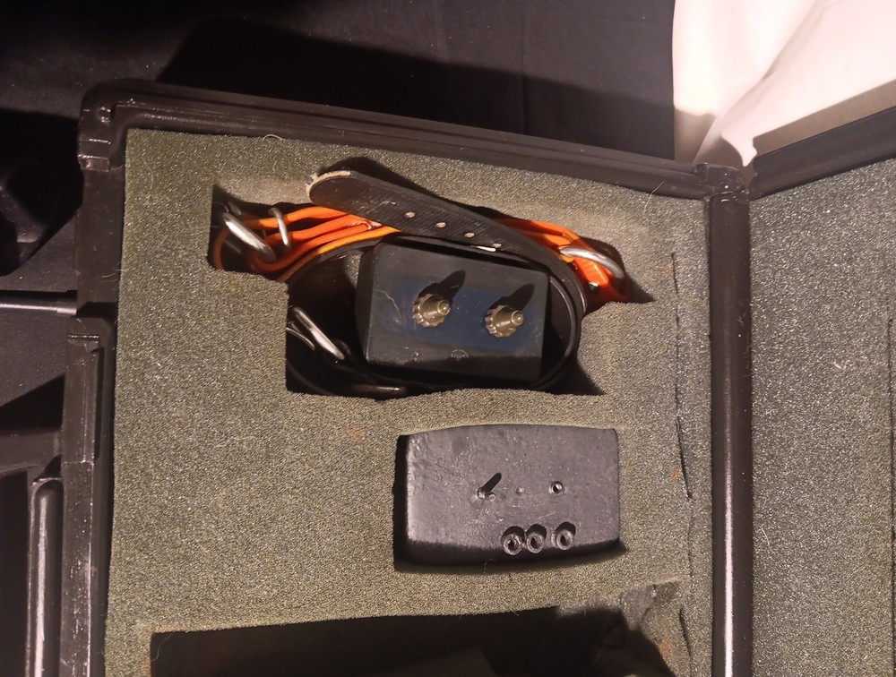 electric dog training collar