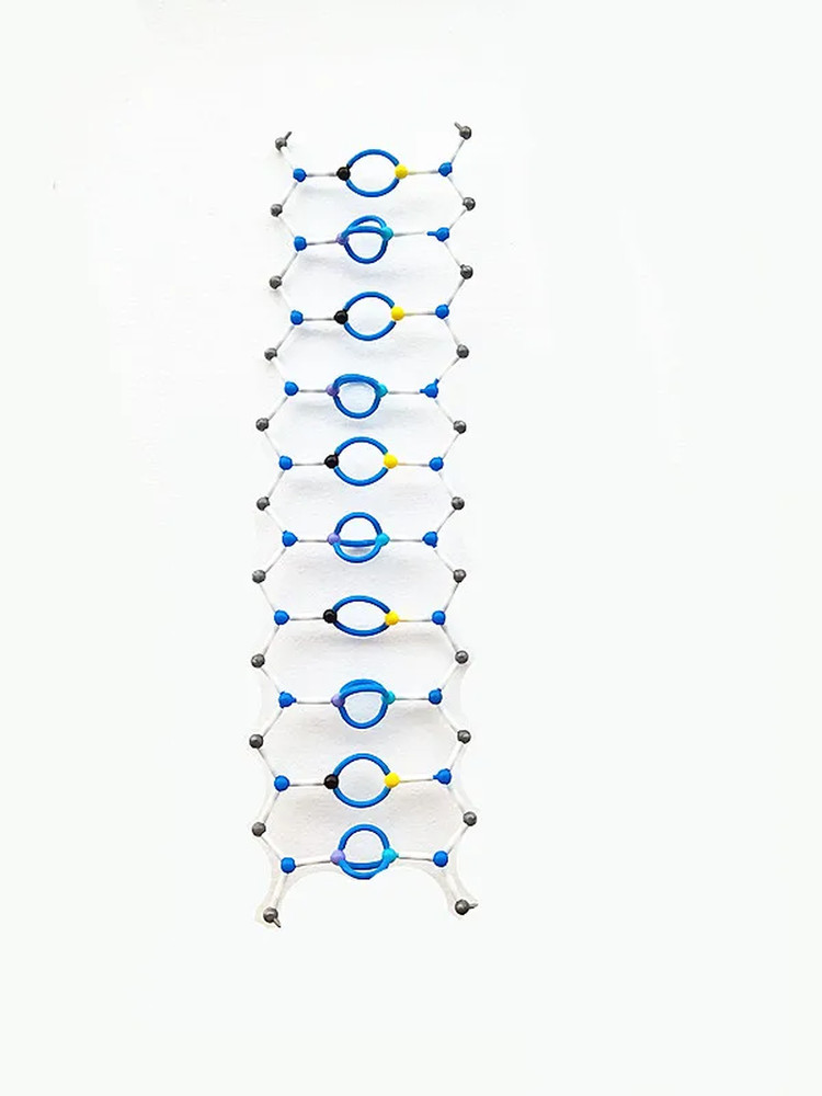 DNA Double Helix Molecular Structure Model Deoxyribonucleic Acid Bio-Genetic 10