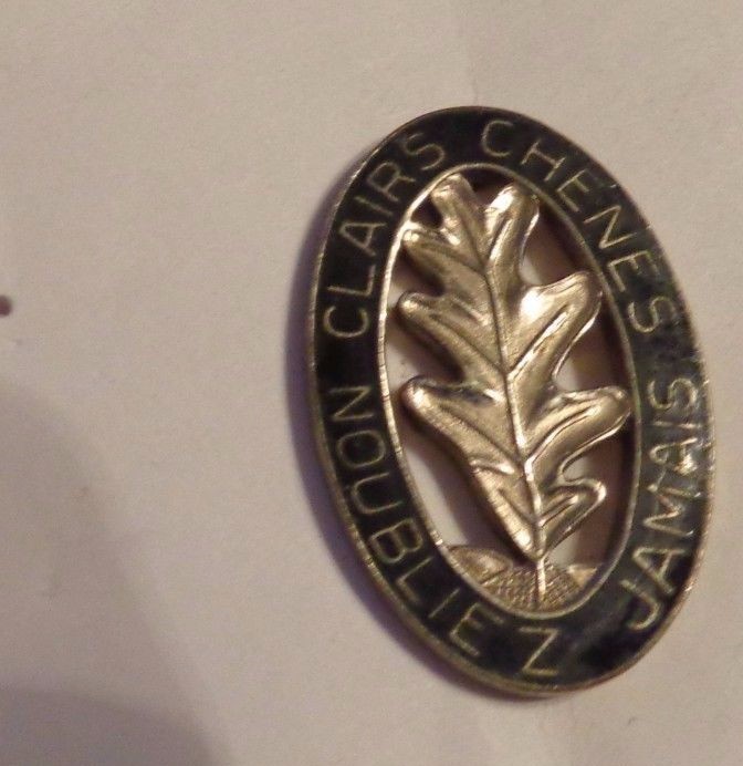 CREST, DI, 6TH ENGINEER BN , PIN BACK, NO HM
