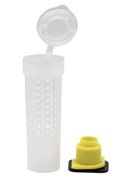 10Pcs Queen Bee Cage - CELL PROTECTOR ROLL - Protective Cover