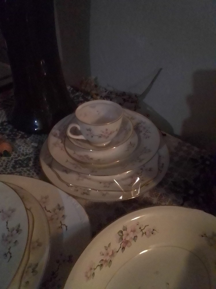 Vintage Eggshell Nautilus