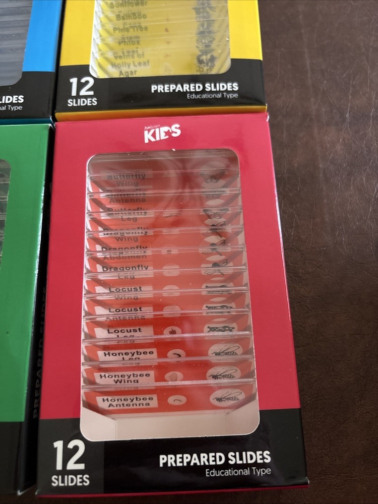 48pc Color-coded Prepared Plastic Microscope Slides Bird Fish Mammal Insect