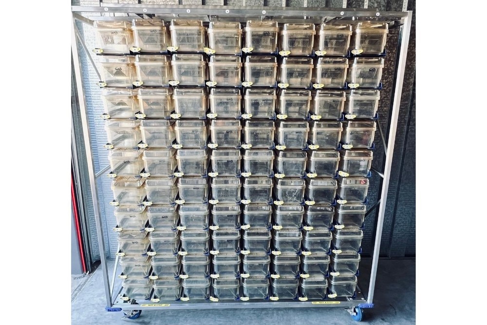 Alternative Design Ventilated Mouse Rack w/Blowers & Cages
