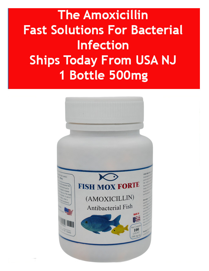 AMOXICILLIN AQUA 500 Fast Solutions for Bacterial Infection
