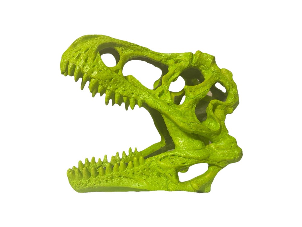 t rex skull replica
