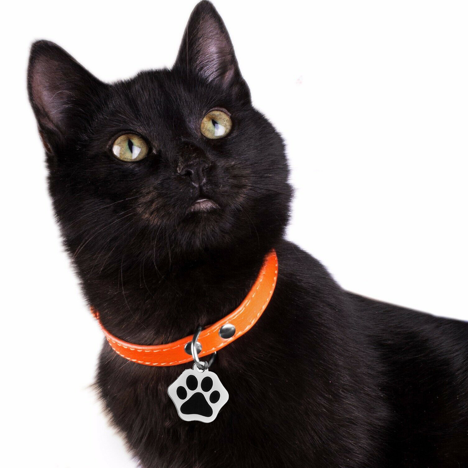 Personalized Paw Glitter Dog Tags Engraved Cat Puppy Pet ID Name Collar Tag New