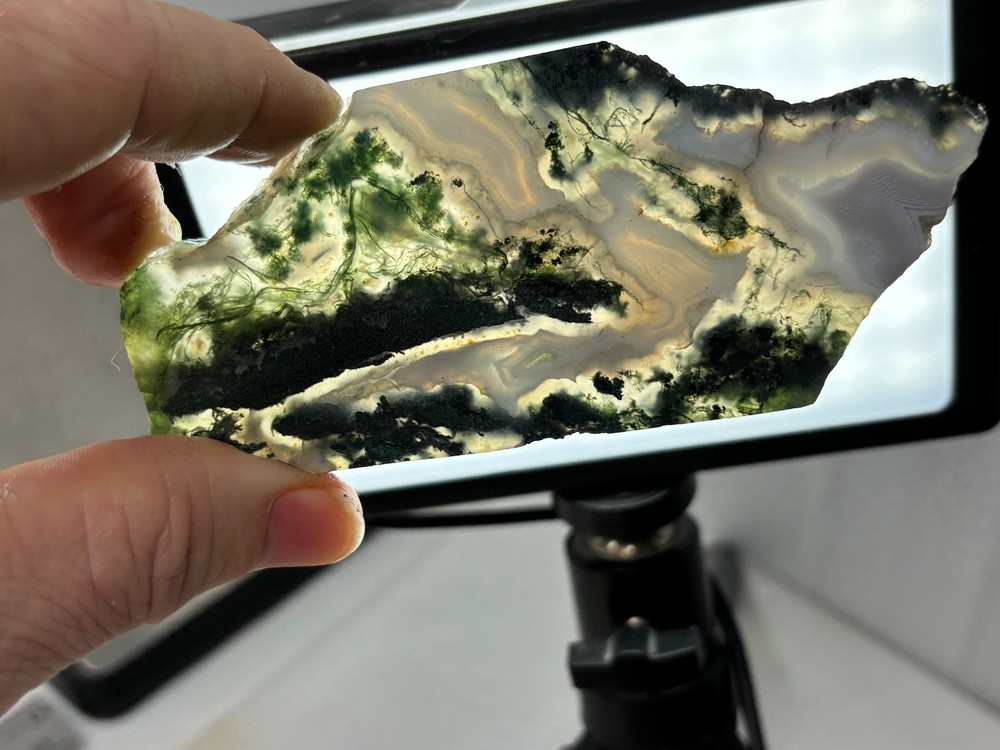 Semi-translucent Moss Agate Slabs Cabbing Lapidary Combo Ship Avail