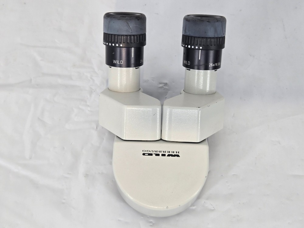 Wild Heerburg Microscope Binocular Head 25x9.5B