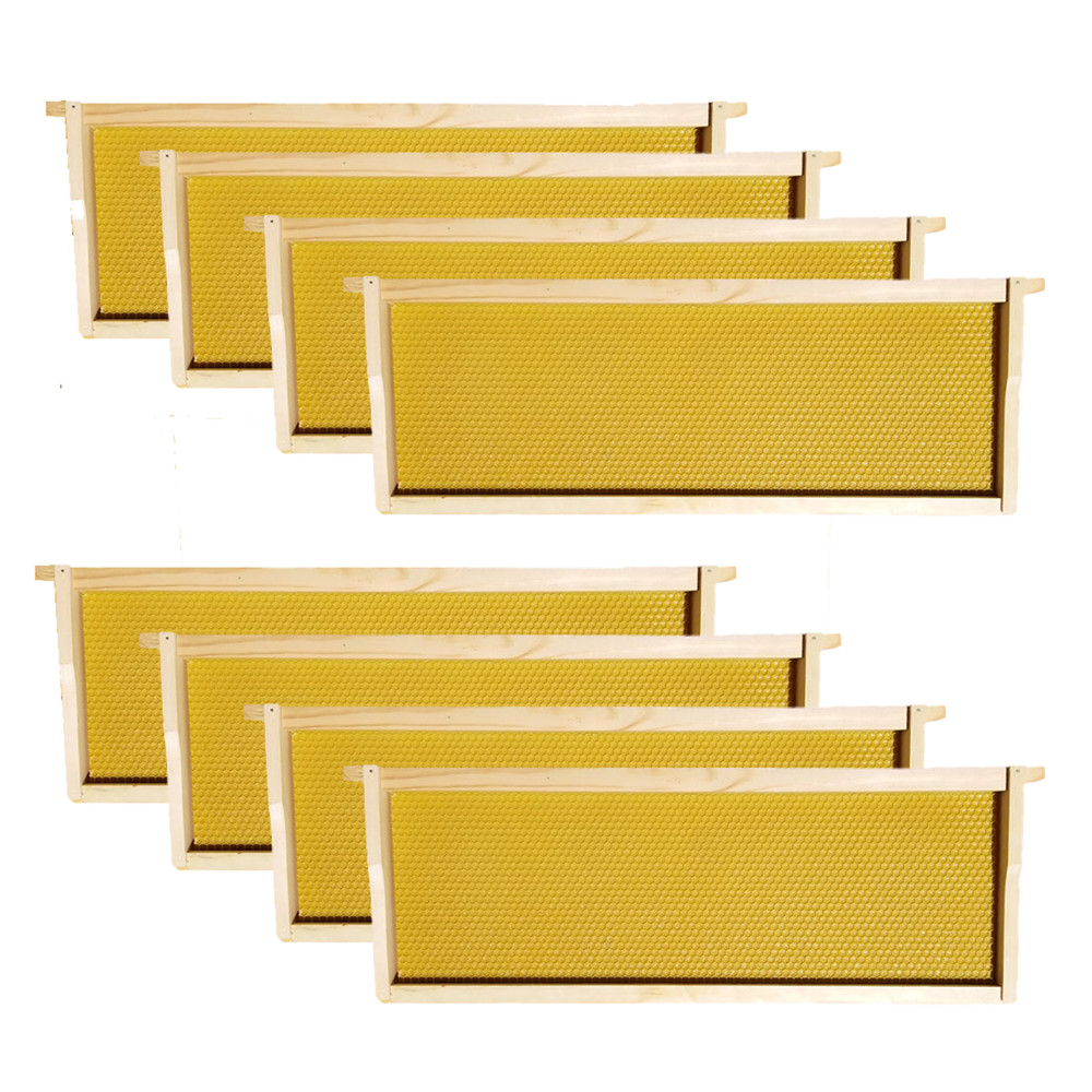 8 Frame Complete Beehive Kit – Amish-Made with 2 Deep & 1 Medium Boxes, Frames &