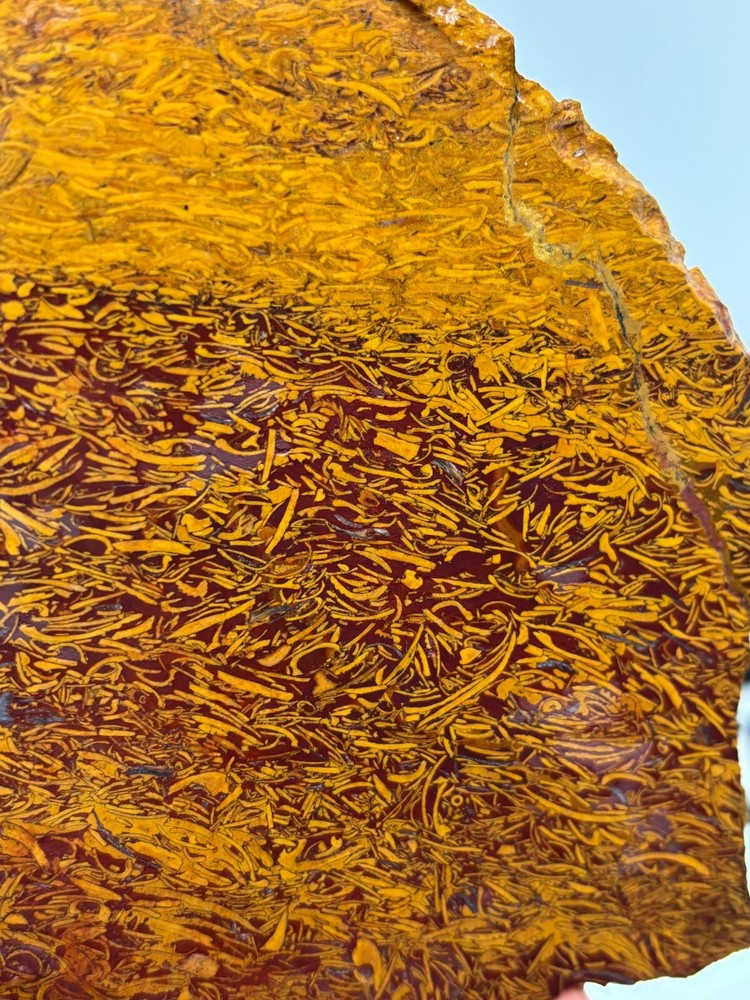 Script Stone Jasper Slab Cabbing Lapidary Collecting Combo Ship Avail