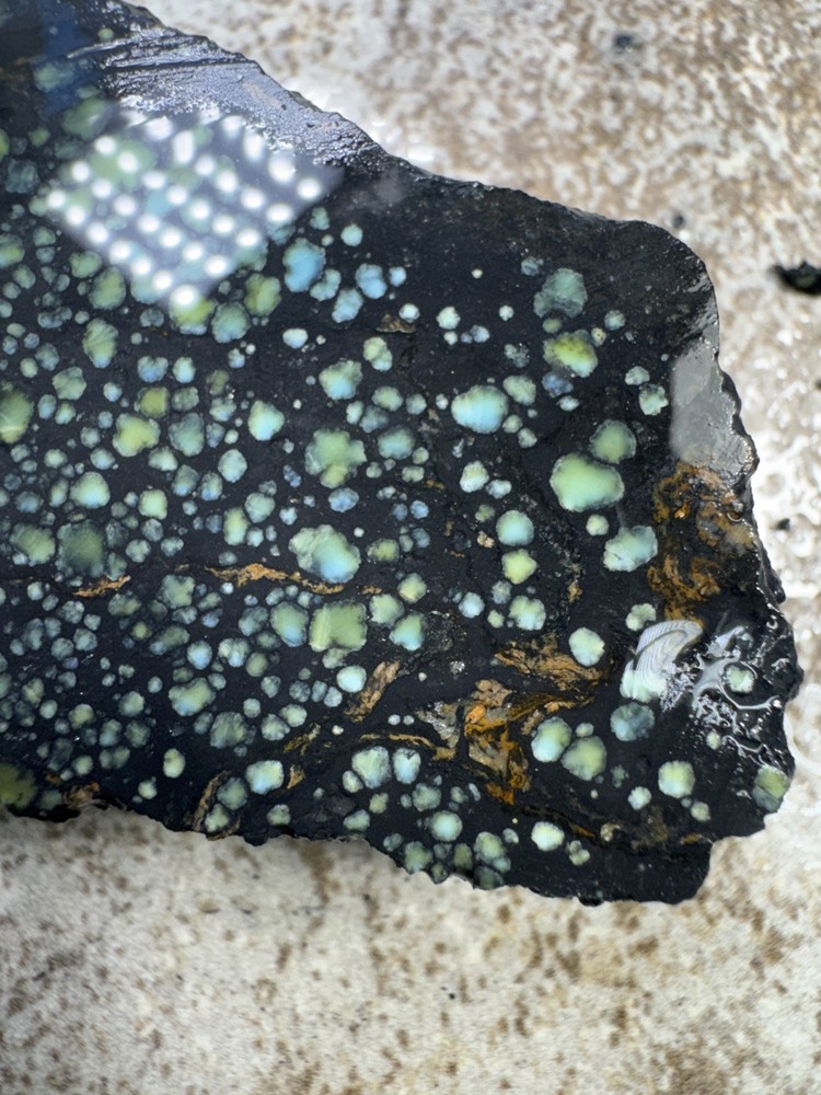 Natural Nevada Variscite rough star fox
