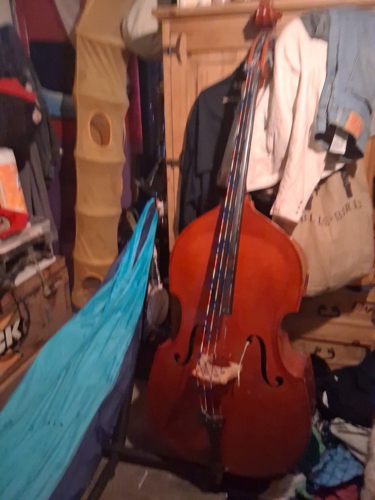 Bass Cello