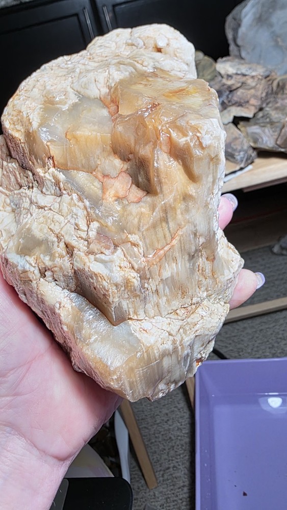 agatized petrified wood 3pc. Lot