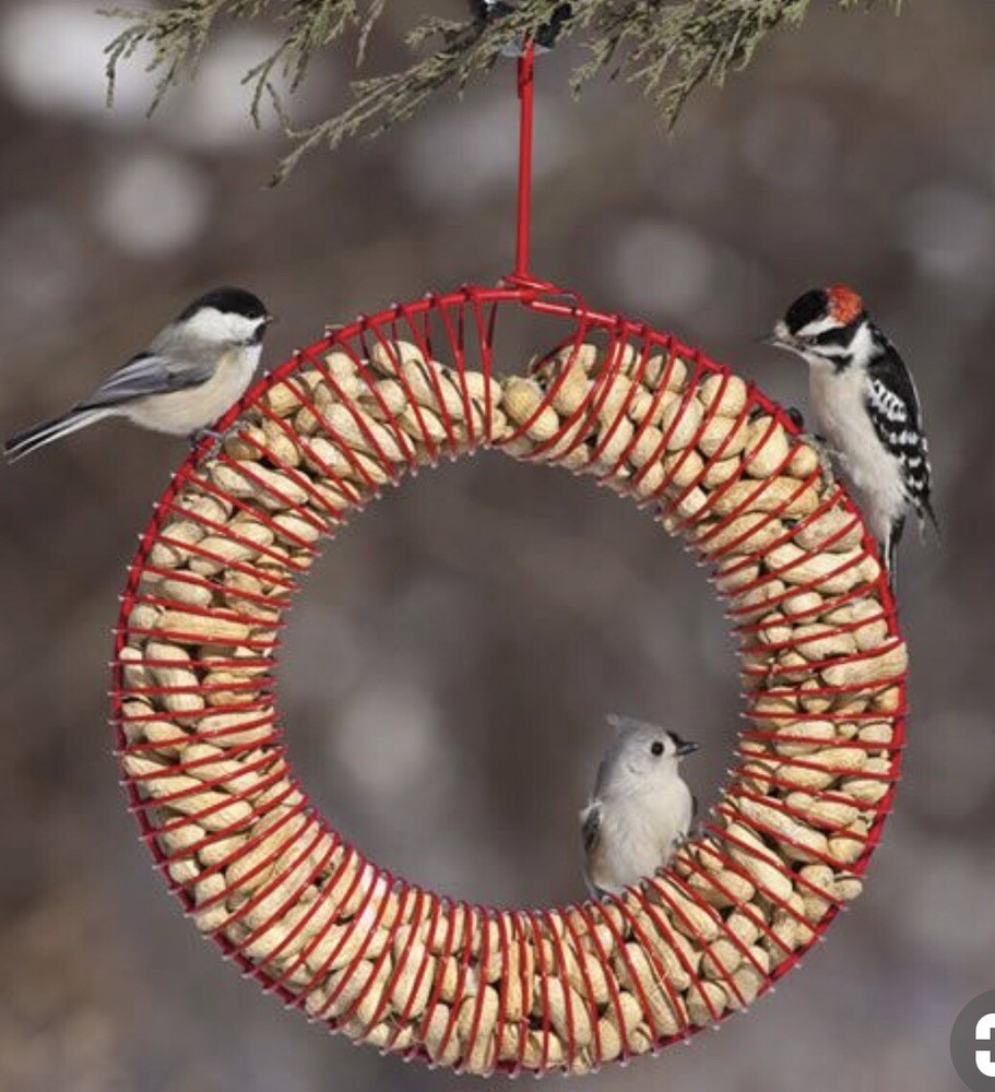 Peach Wreath Feeder Black Model PCH#781K