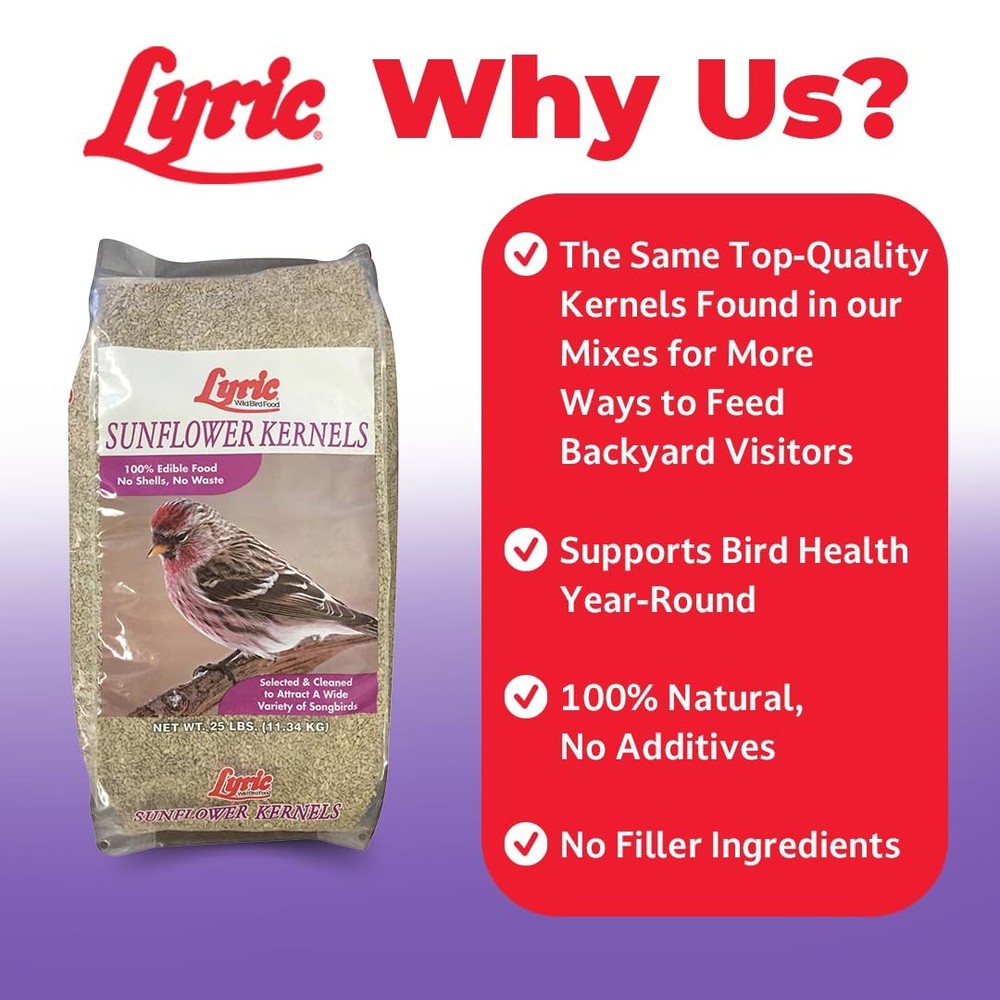 Sunflower Kernels Wild Bird Seed for Outside 80 fl oz