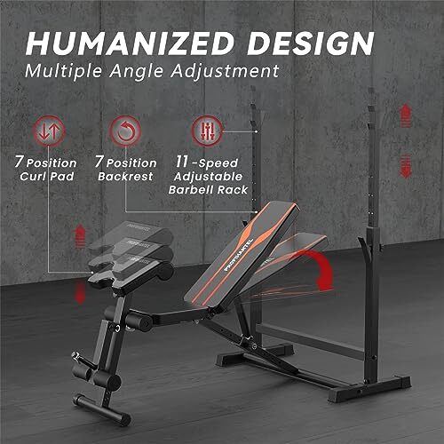 PROFIHANTEL OLYMPIC WORKOUT BENCH BENCH PRESS MULTI FUNCTIONAL - Scratch & Dent