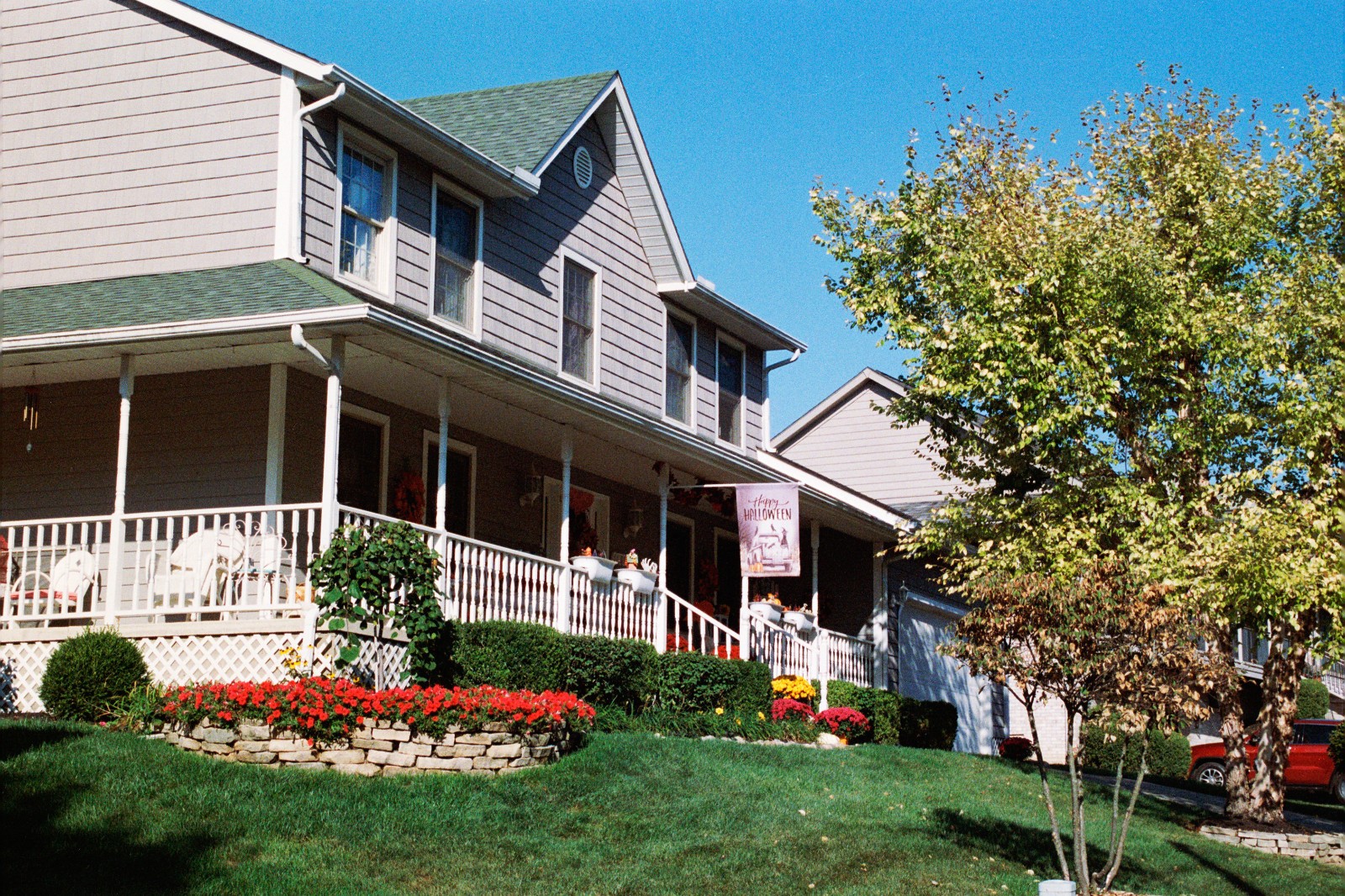 NIGHT ALIEN - 35mm Color Negative High Speed Film 800D - 36 exp C-41 BRAND NEW