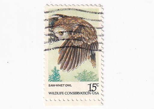 STAMP US SCOTT 1761 "Saw Whet Owl" 15 CENT 1978 USED - D