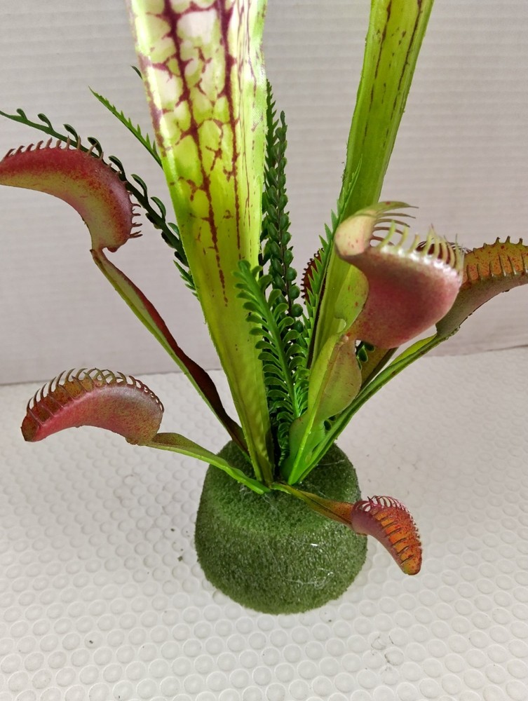 Pitcher plant and Venus Flytrap Decoration
