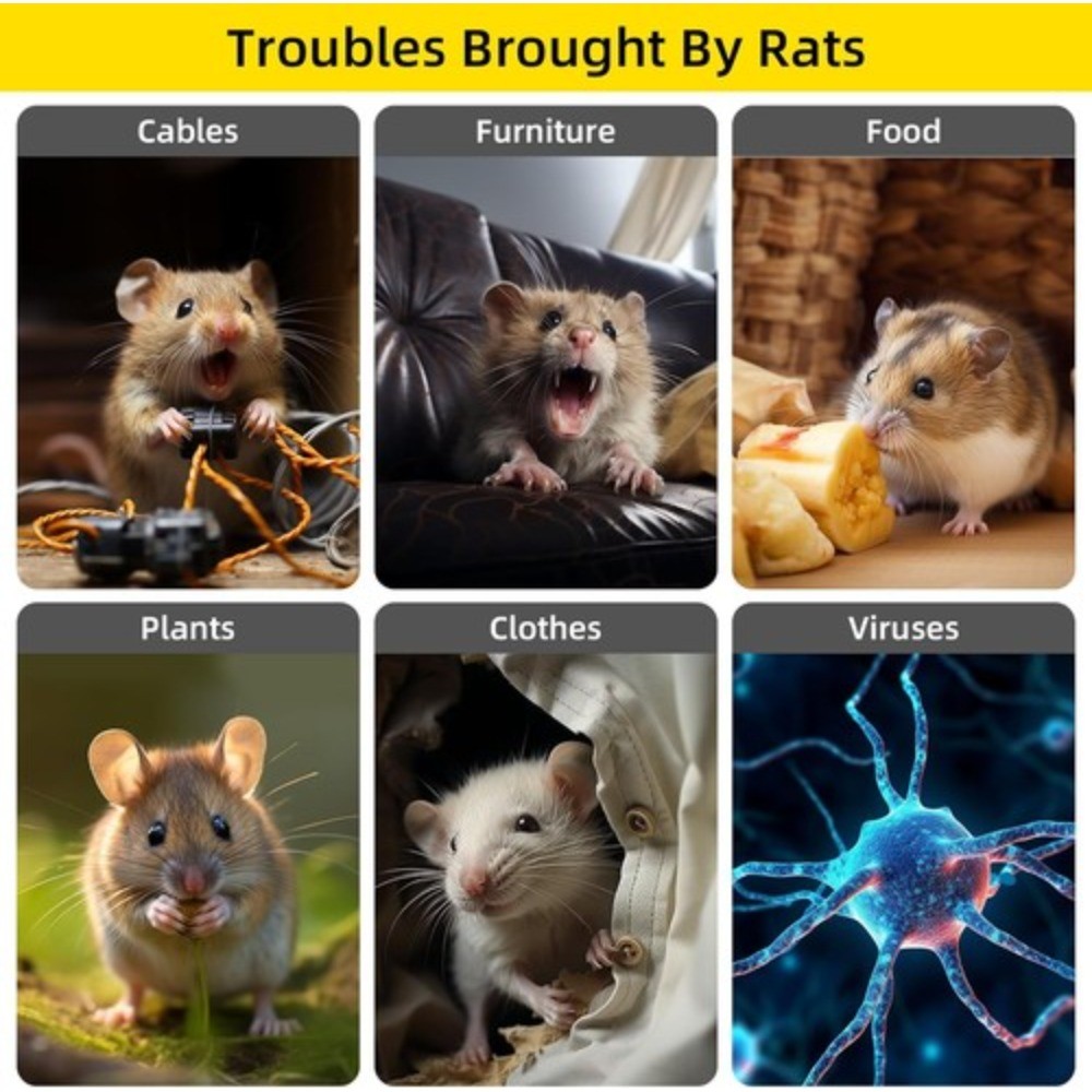 12 Pack Strong Plastic Mouse & Rat Traps – Quick & Effective Catching