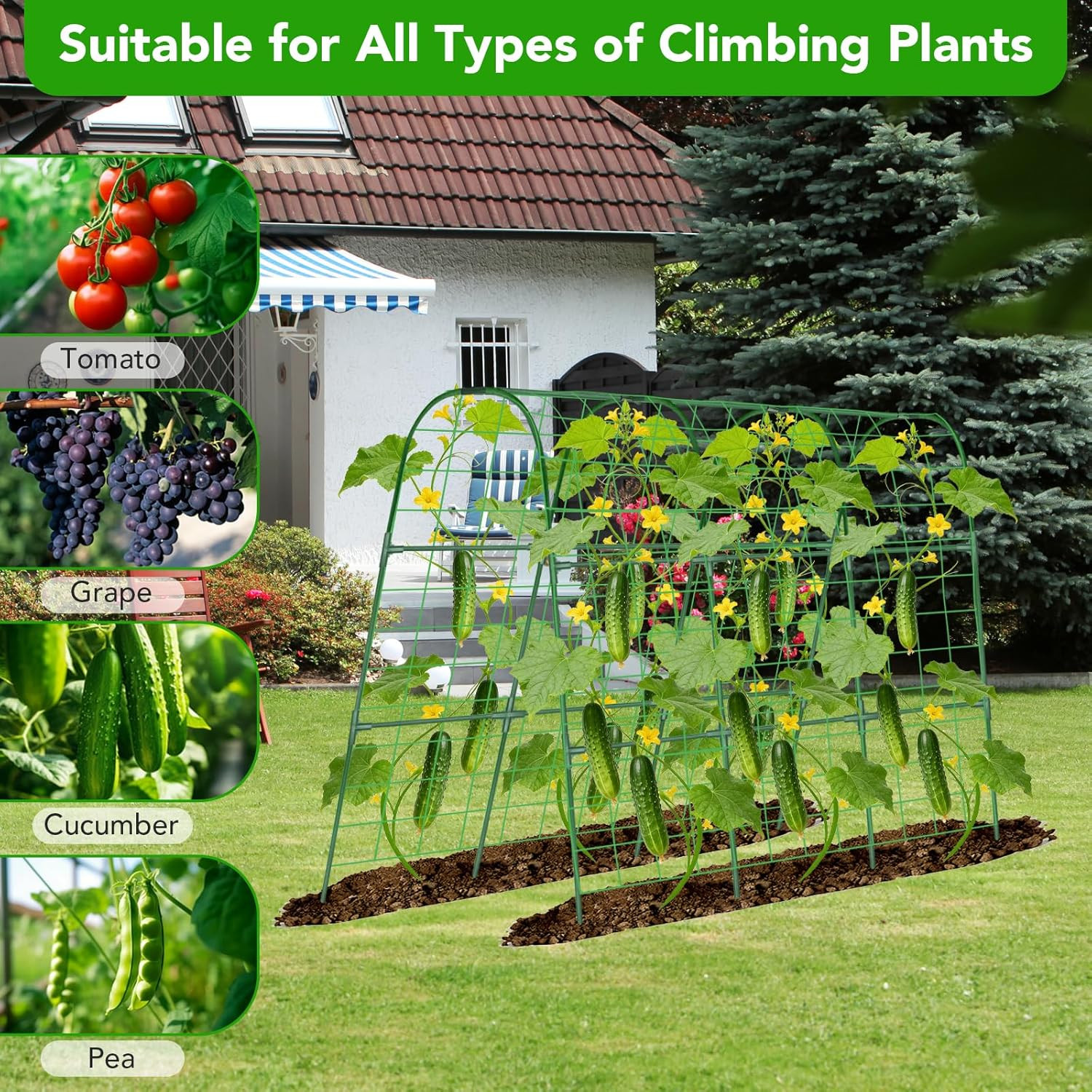 U-Shaped Metal Garden Trellis for Climbing Plants and Vegetables