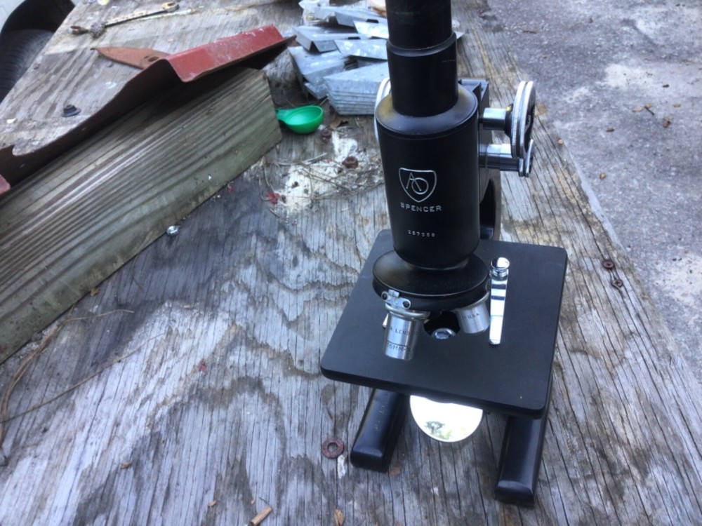 Vintage Spencer Microscope