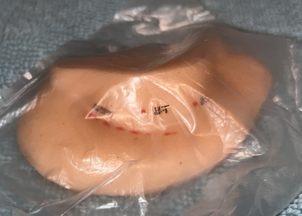 Acupuncture Left Ear Accupoint Model Replica Learning Simulation Lot/2 Unopened