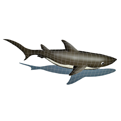 Shark with Shadow Ceramic Swimming Pool Mosaic