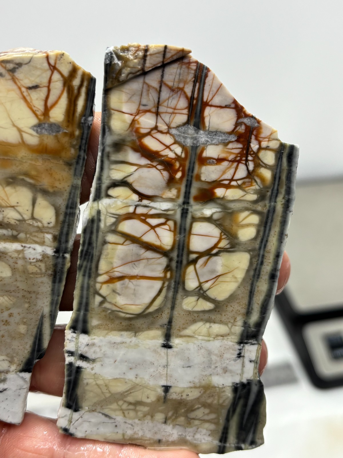 Picasso Marble (Jasper) Slabs Cabbing Lapidary Utah Combo Ship Avail