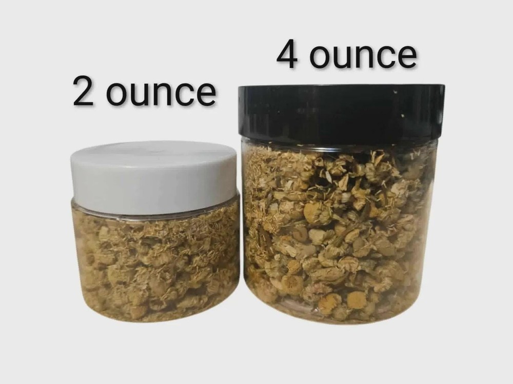 Broccoli - Hermit Crab Food
