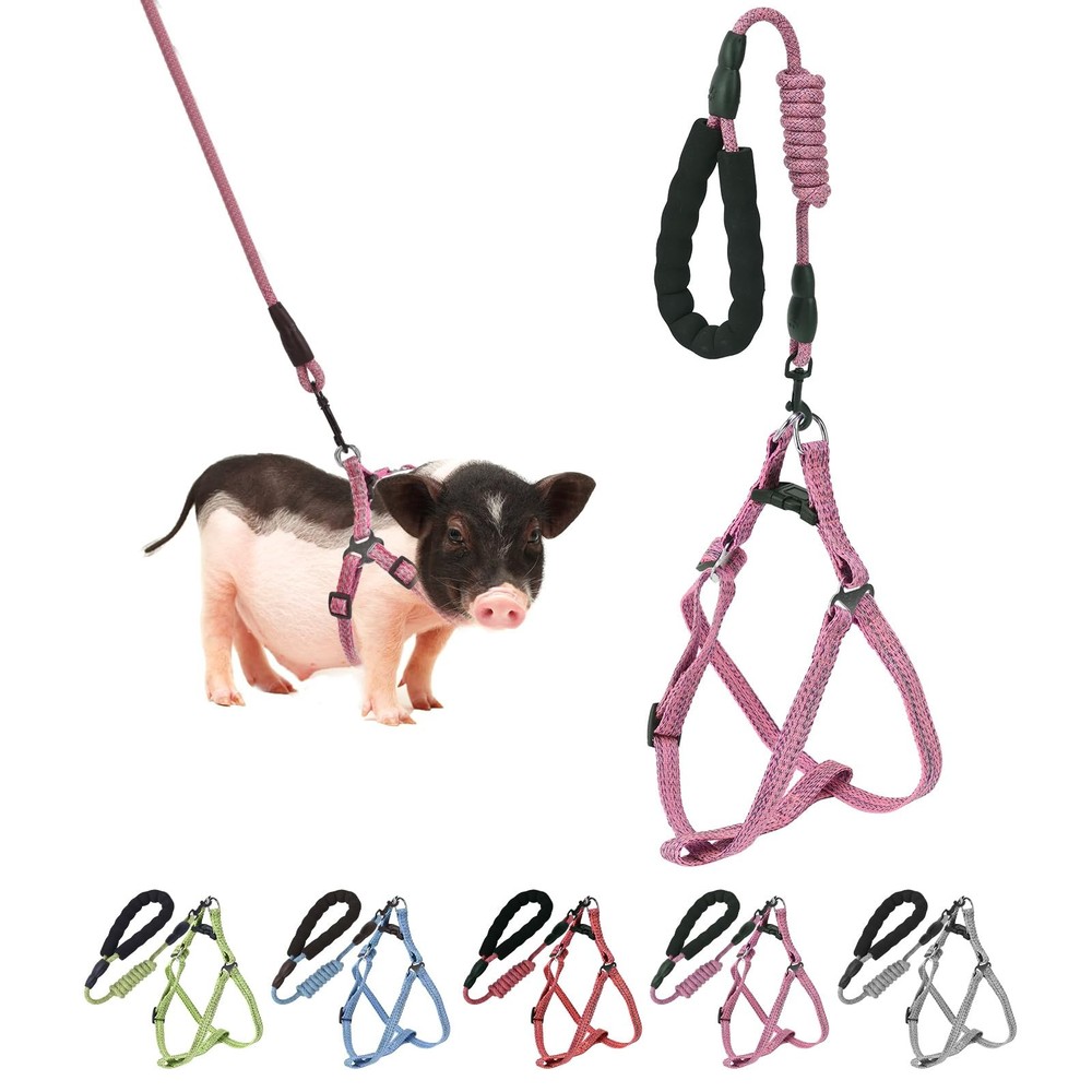 Mini Pig Harness, Adjustable Small Harness with Leash Infinity M, Pink