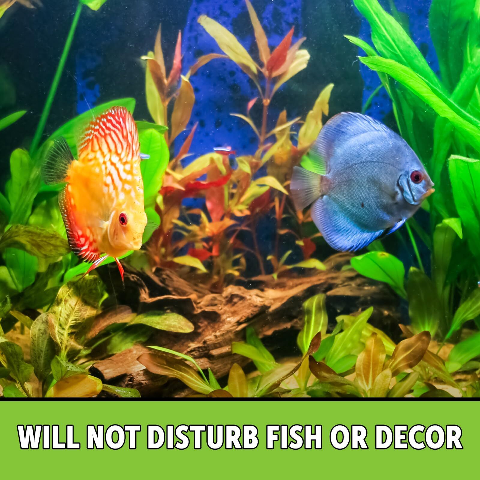 Python No Spill Clean and Fill Aquarium Maintenance System Gravel Cleaner and