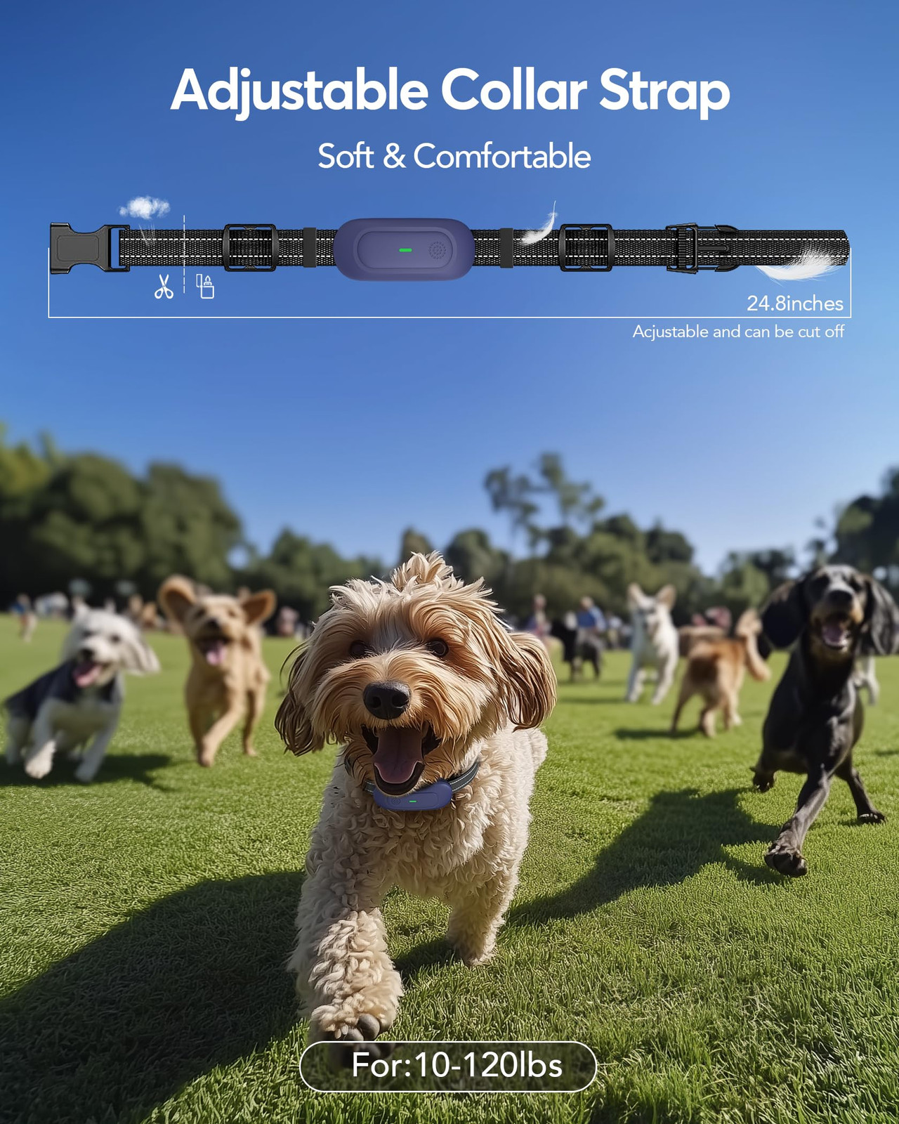 Dog Shock Collar with Remote Control Training Collar IPX7 Waterproof Electric