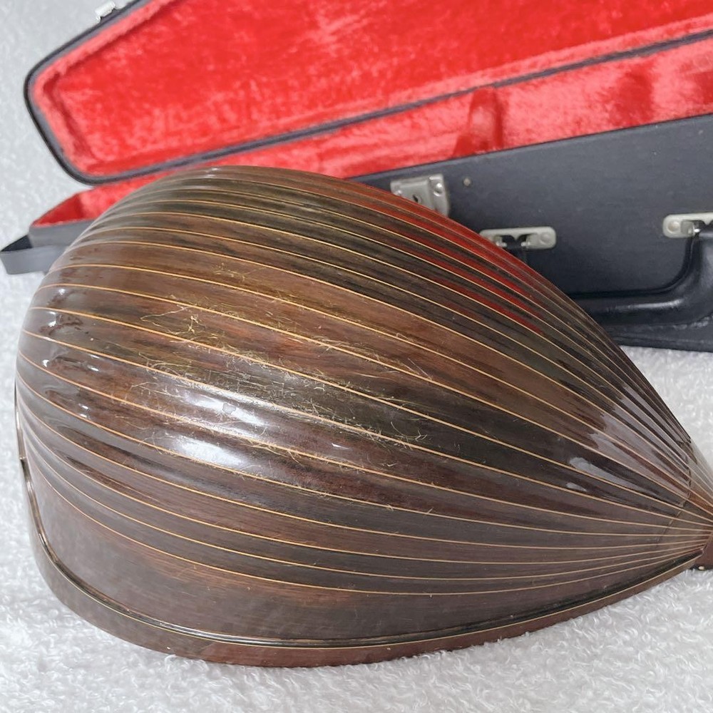 SUZUKI Mandolin M-60 with hard case