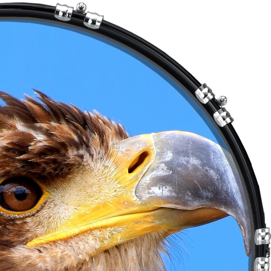 22" Custom Bass Kick Drum Front Head Graphic Graphical Eagle 2