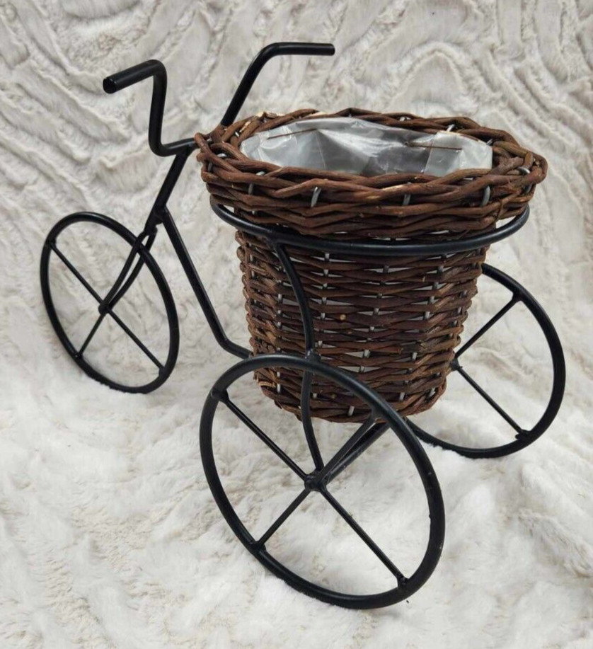 Tricycle Catchall Wicker Iron Planter